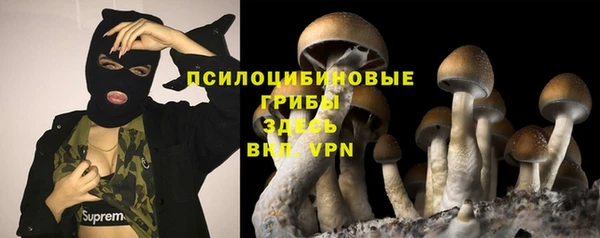 спайс Алексин