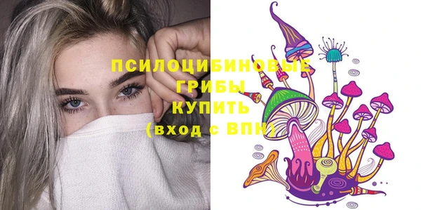 ПСИЛОЦИБИНОВЫЕ ГРИБЫ Пересвет